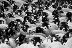 Cardinal l'Atelier Formation - Sortir du marketing de masse